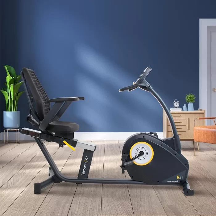 *Lifespan R5i Recumbent Bike - SALE! - Image 3