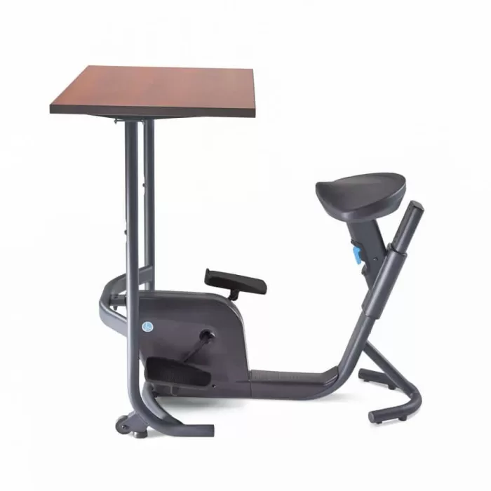 *Lifespan Unity Bike Desk